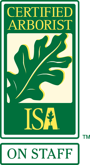 ISA Certified Arborist On Staff